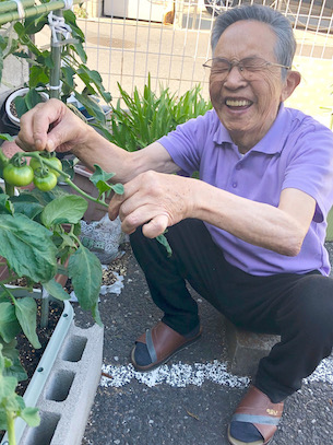 「俺のトマトちゃん」