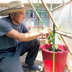 「春の野菜作り」